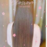 ヒメ日記 2026/04/03 23:30 投稿 こうめ トマトなび