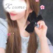 ヒメ日記 2026/04/08 20:15 投稿 こうめ トマトなび