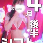 ヒメ日記 2026/04/12 17:38 投稿 こうめ トマトなび