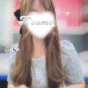 ヒメ日記 2026/04/16 19:37 投稿 こうめ トマトなび