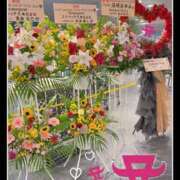 ヒメ日記 2026/09/09 23:47 投稿 こうめ トマトなび