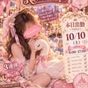 ヒメ日記 2026/10/10 07:02 投稿 こうめ トマトなび