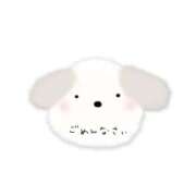 ヒメ日記 2025/01/21 14:41 投稿 みやび 千葉北インターちゃんこ