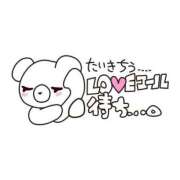 ヒメ日記 2025/04/16 17:06 投稿 みやび 千葉北インターちゃんこ