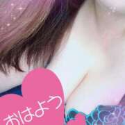 ヒメ日記 2025/04/26 13:59 投稿 みやび 千葉北インターちゃんこ