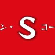 ヒメ日記 2024/11/30 15:18 投稿 天海 BBW西船橋店