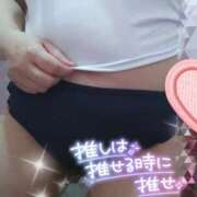 ヒメ日記 2024/12/12 13:42 投稿 藤堂さくらこ 五十路マダム静岡店（カサブランカG）