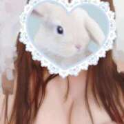 ヒメ日記 2025/03/31 12:50 投稿 藤堂さくらこ 五十路マダム静岡店（カサブランカG）