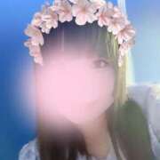 ヒメ日記 2025/04/28 13:12 投稿 藤堂さくらこ 五十路マダム静岡店（カサブランカG）