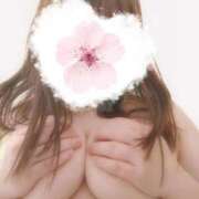 ヒメ日記 2025/07/03 19:44 投稿 藤堂さくらこ 五十路マダム静岡店（カサブランカG）