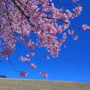 ヒメ日記 2025/07/14 23:18 投稿 藤堂さくらこ 五十路マダム静岡店（カサブランカG）