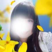 ヒメ日記 2025/11/10 12:40 投稿 藤堂さくらこ 五十路マダム静岡店（カサブランカG）