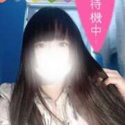 ヒメ日記 2025/11/15 19:08 投稿 藤堂さくらこ 五十路マダム静岡店（カサブランカG）