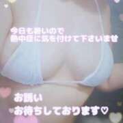 ヒメ日記 2025/07/29 16:24 投稿 優美子（ゆみこ） PLUS難波店