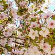 ヒメ日記 2026/04/09 16:54 投稿 優美子（ゆみこ） PLUS難波店