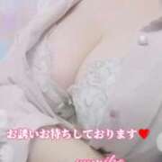 ヒメ日記 2026/04/28 19:24 投稿 優美子（ゆみこ） PLUS難波店