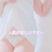 ヒメ日記 2026/10/28 10:44 投稿 優美子（ゆみこ） PLUS難波店