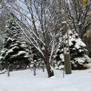 ヒメ日記 2025/11/09 16:58 投稿 平井　まこ お姉さんLABO -艶-