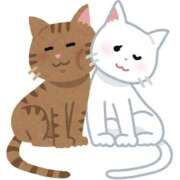 ヒメ日記 2025/05/07 23:16 投稿 ツボミ マテリアル