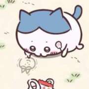 ヒメ日記 2025/07/06 20:16 投稿 ツボミ マテリアル