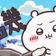 ヒメ日記 2025/07/29 15:16 投稿 ツボミ マテリアル