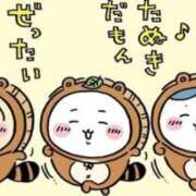 ヒメ日記 2025/08/31 21:31 投稿 ツボミ マテリアル