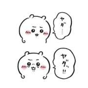 ヒメ日記 2025/10/20 11:16 投稿 ツボミ マテリアル