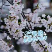 ヒメ日記 2026/04/02 18:00 投稿 すい 甘熟クラブ