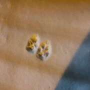 ヒメ日記 2025/02/07 22:15 投稿 ふうり ハニープラザ（ユメオト）