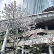 あの ※無題 素人美少女専門　町田アンジェリーク（アンジェリークグループ）