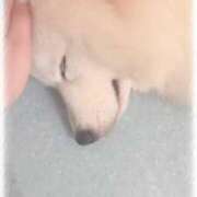 ヒメ日記 2025/01/21 18:06 投稿 せつな 川崎ソープ　クリスタル京都南町