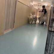 ヒメ日記 2025/03/04 15:10 投稿 せつな 川崎ソープ　クリスタル京都南町