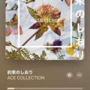 ヒメ日記 2025/04/02 19:18 投稿 せつな 川崎ソープ　クリスタル京都南町