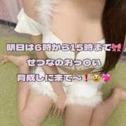 ヒメ日記 2025/04/28 00:32 投稿 せつな 川崎ソープ　クリスタル京都南町