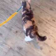 ヒメ日記 2025/04/29 12:21 投稿 せつな 川崎ソープ　クリスタル京都南町