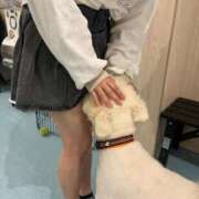 ヒメ日記 2025/06/27 18:49 投稿 せつな 川崎ソープ　クリスタル京都南町