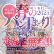 ヒメ日記 2025/04/19 17:02 投稿 芹香(せりか)M性感/SM フェチM性感　極嬢　ageHa