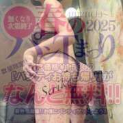 ヒメ日記 2025/04/23 17:01 投稿 芹香(せりか)M性感/SM フェチM性感　極嬢　ageHa