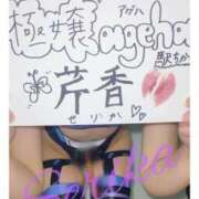 ヒメ日記 2025/07/30 17:02 投稿 芹香(せりか)M性感/SM フェチM性感　極嬢　ageHa