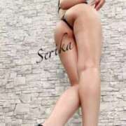 ヒメ日記 2025/10/11 21:30 投稿 芹香(せりか)M性感/SM フェチM性感　極嬢　ageHa