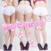 ヒメ日記 2026/03/20 18:16 投稿 芹香(せりか)M性感/SM フェチM性感　極嬢　ageHa