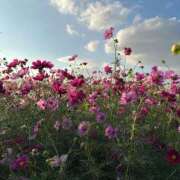 ヒメ日記 2025/10/28 19:06 投稿 芽衣子(めいこ)M性感/SM フェチM性感　極嬢　ageHa