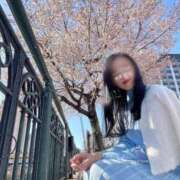 ヒメ日記 2025/03/16 08:08 投稿 那奈(なな)Ｍ性感 フェチM性感　極嬢　ageHa