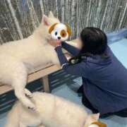 ヒメ日記 2025/12/05 07:39 投稿 那奈(なな)Ｍ性感 フェチM性感　極嬢　ageHa