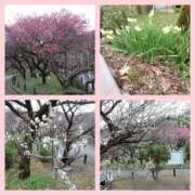 ヒメ日記 2025/03/03 23:38 投稿 RISA(りさ)M性感/SM フェチM性感　極嬢　ageHa