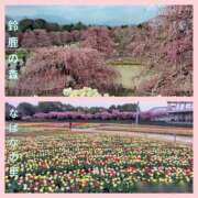 ヒメ日記 2025/03/24 23:06 投稿 RISA(りさ)M性感/SM フェチM性感　極嬢　ageHa