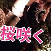 ヒメ日記 2025/03/31 23:51 投稿 RISA(りさ)M性感/SM フェチM性感　極嬢　ageHa