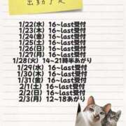 ヒメ日記 2025/01/18 12:05 投稿 羽瑠心(うるみ)M性感 フェチM性感　極嬢　ageHa