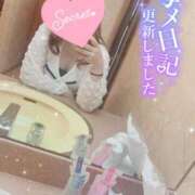 ヒメ日記 2025/02/19 03:11 投稿 りゆ ドMバスターズ 京都店