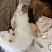 ヒメ日記 2025/01/24 12:42 投稿 みつり モアグループ神栖人妻花壇